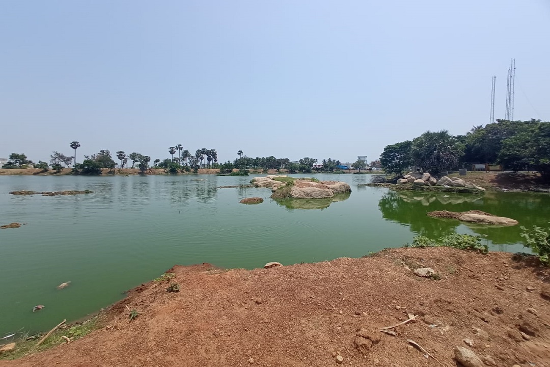 Madambakkam Wetland, Chennai